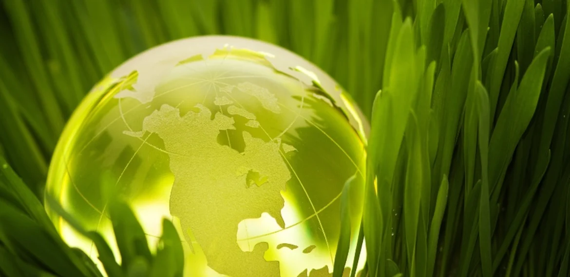Miksch Environmental Initiative
